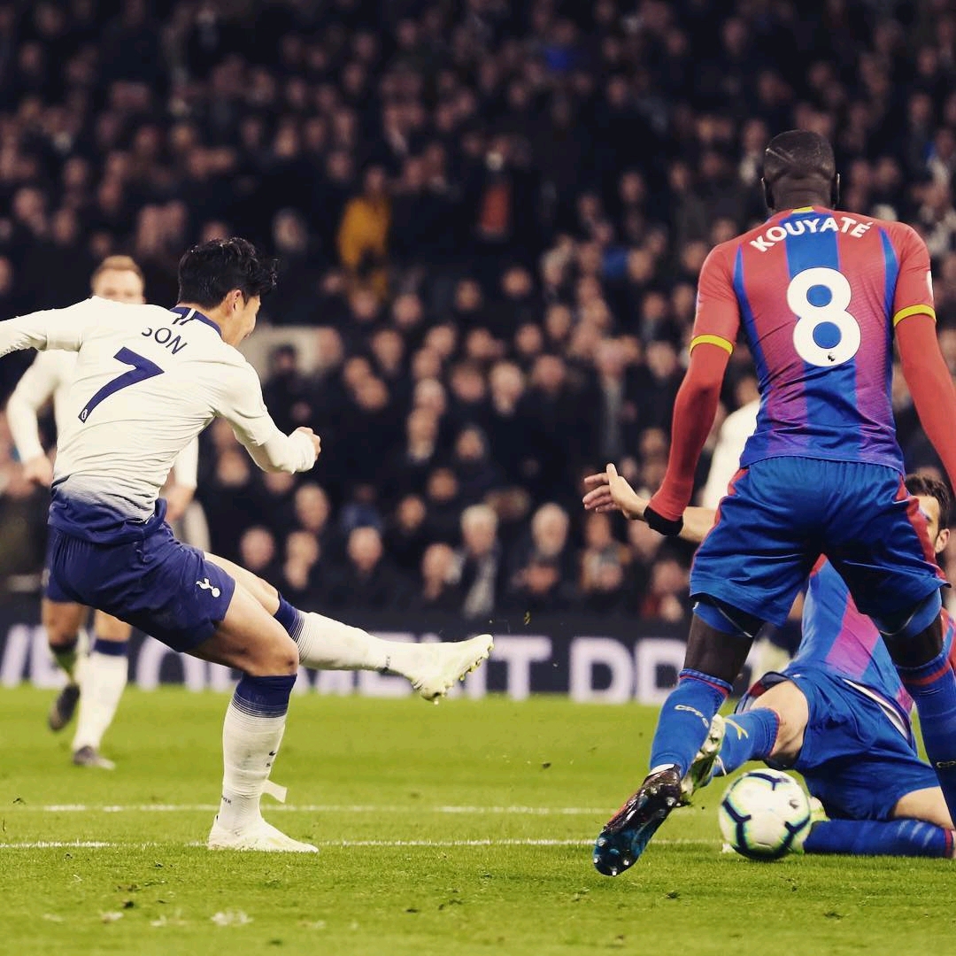 了显著的优 了显著的优