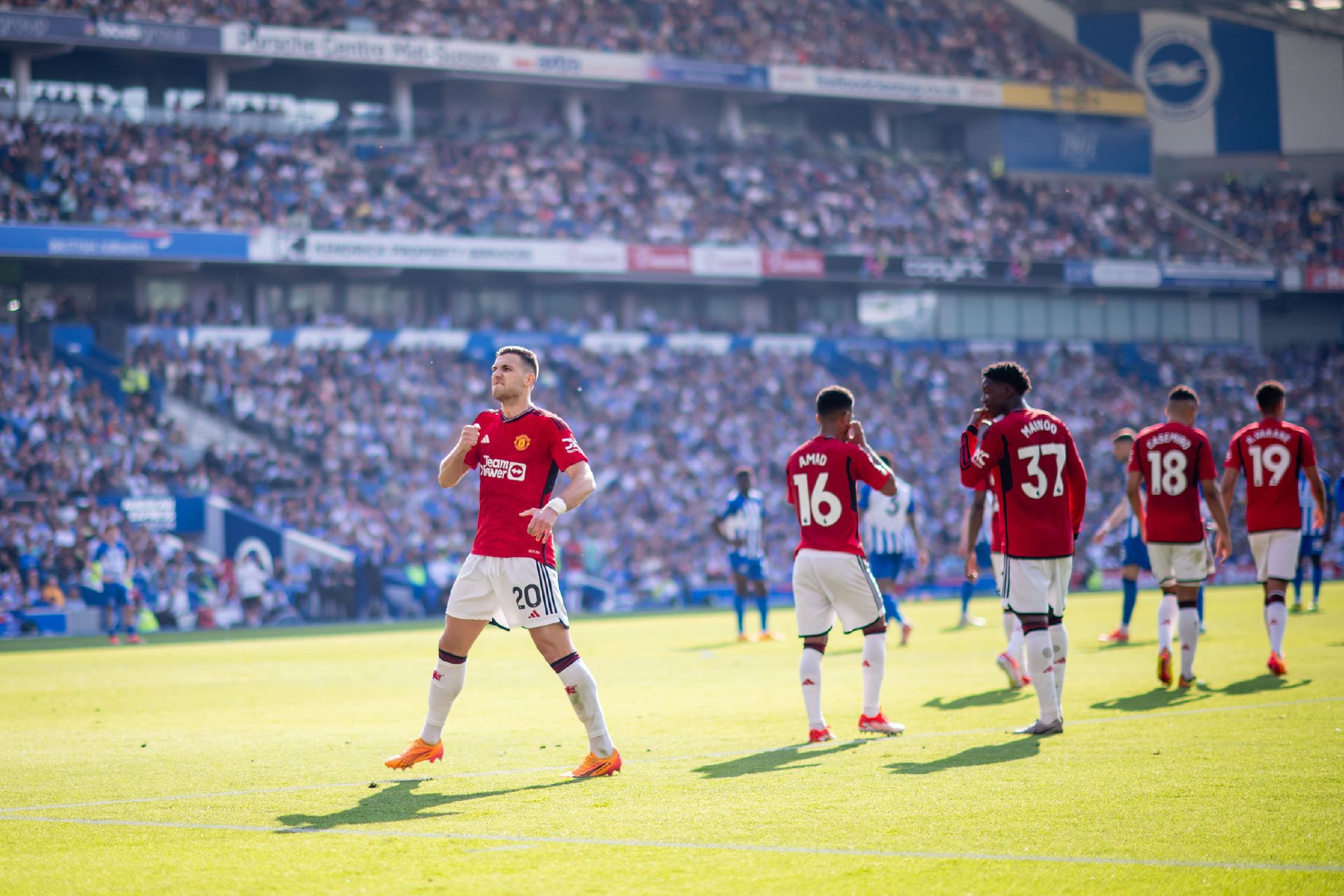 协作的猛龙 协作的猛龙