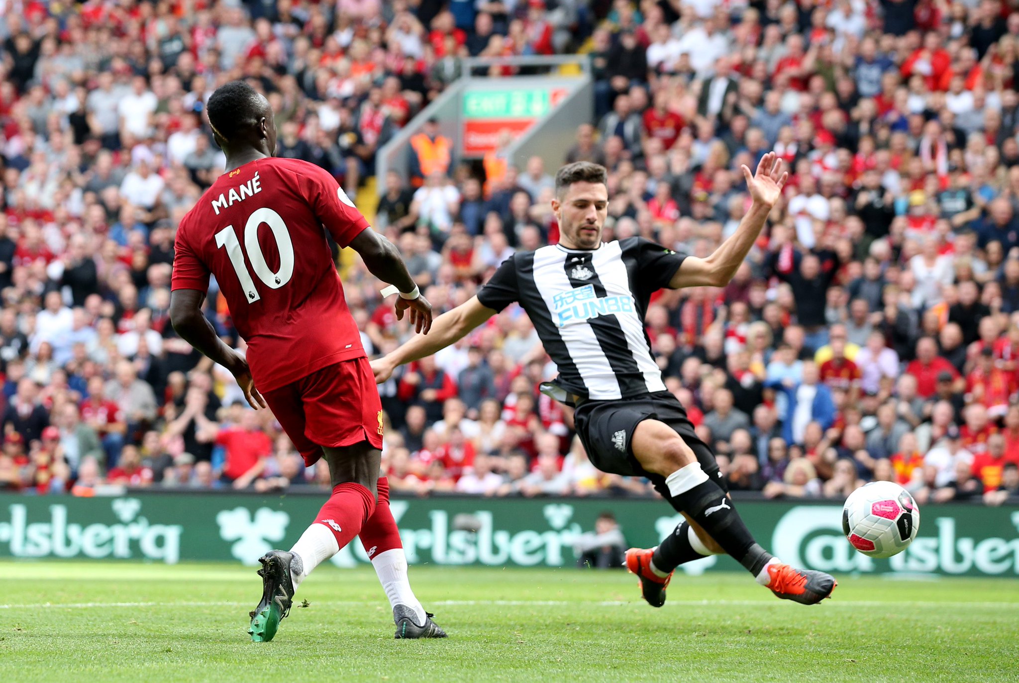 这些项目的 这些项目的